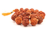 Arkam Rudraksha Mala Sumarni/Natural Rudraksh Mala/Original Rudraksha mala/Rudraksha Mala for jaap/ 12mm Rudraksha Rosary (Size: 12mm, Beads: 27+1) - Retail Maharaj