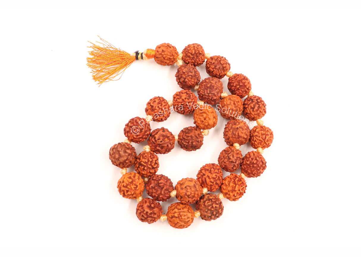 Arkam Rudraksha Mala Sumarni/Natural Rudraksh Mala/Original Rudraksha mala/Rudraksha Mala for jaap/ 12mm Rudraksha Rosary (Size: 12mm, Beads: 27+1) - Retail Maharaj