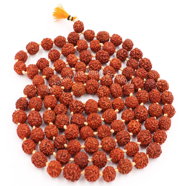 Arkam Rudraksha Mala Certified/Natural Rudraksh Mala/Original Rudraksha mala/Rudraksha Mala for jaap/ 12mm Rudraksha Rosary (Size: 12mm, Beads: 108+1) - Retail Maharaj