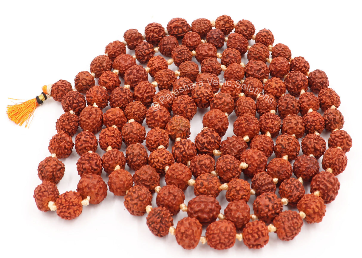Arkam Rudraksha Mala Certified/Natural Rudraksh Mala/Original Rudraksha mala/Rudraksha Mala for jaap/ 12mm Rudraksha Rosary (Size: 12mm, Beads: 108+1) - Retail Maharaj