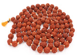 Arkam Rudraksha Mala Certified/Natural Rudraksh Mala/Original Rudraksha mala/Rudraksha Mala for jaap/ 12mm Rudraksha Rosary (Size: 12mm, Beads: 108+1) - Retail Maharaj