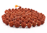 Arkam Rudraksha Mala Certified/Natural Rudraksh Mala/Original Rudraksha mala/Rudraksha Mala for jaap/ 12mm Rudraksha Rosary (Size: 12mm, Beads: 108+1) - Retail Maharaj