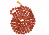 Arkam Rudraksha Mala Certified/Natural Rudraksh Mala/Original Rudraksha mala/Rudraksha Mala for jaap/ 12mm Rudraksha Rosary (Size: 12mm, Beads: 108+1) - Retail Maharaj