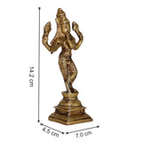 Arkam Brass Kurma Murti / Koorma Idol / Pital Vishnu Kurma Avatar Statue - Antique Brass For Home / Temple / Office (Height: 15.2 cm, Weight: 470 gms) - Retail Maharaj
