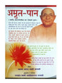 अमृत पान  Amrit Paan - Retail Maharaj