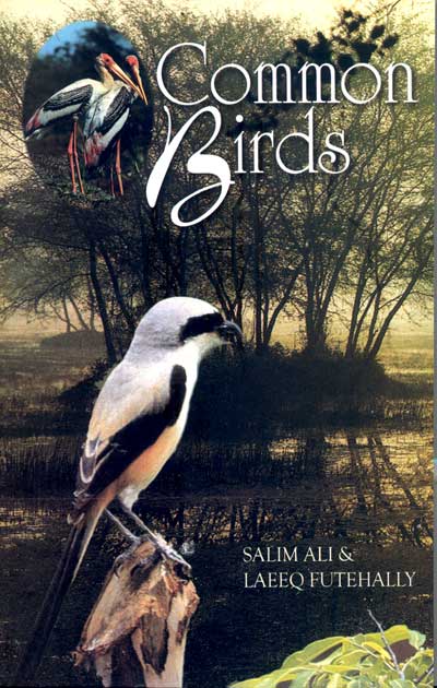 Common Birds - Retail Maharaj