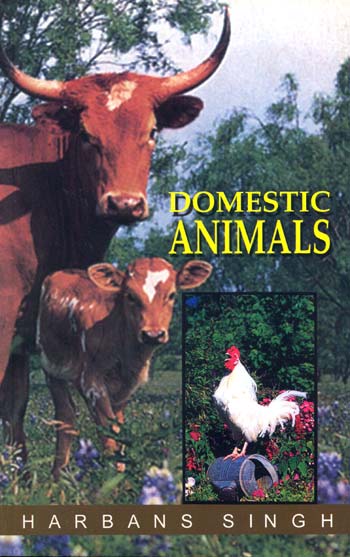 Domestic Animals - Retail Maharaj