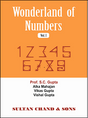 Wonderland of Numbers Vol I - Retail Maharaj