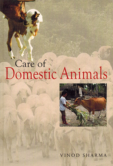 CARE OF DOMESTIC ANIMALS - Retail Maharaj