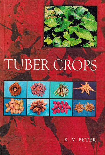 TUBER CROPS - Retail Maharaj