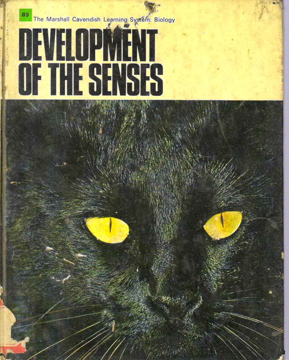 Development of the Senses - Retail Maharaj
