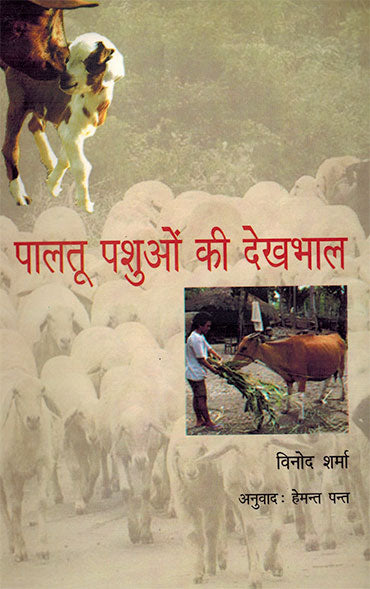 CARE OF DOMESTIC ANIMALS - Retail Maharaj