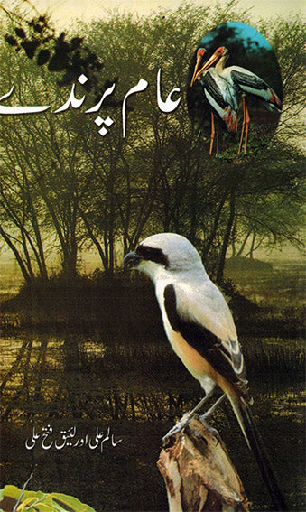 COMMON BIRDS - Retail Maharaj