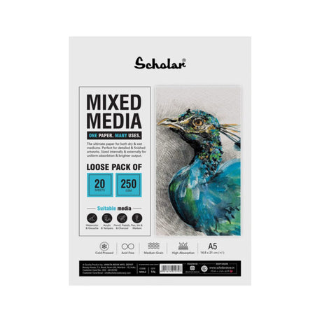 Scholar Mixed Media Paper Loose Sheets 250gsm for Wet and Dry Art - Retail Maharaj