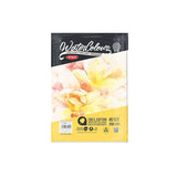 Anupam 100 Percent Cotton Hot Press Watercolour Paper Loose Sheets 250 GSM
