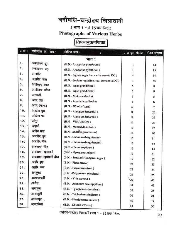 वनौषधि चन्द्रोदय  Vanaushadhi Chandroday (set of 2 Vol.) - Retail Maharaj