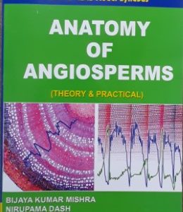 ANATOMY OF ANGIOSPERMS - Retail Maharaj