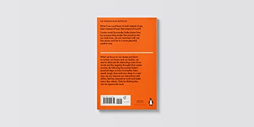 The Practice of Not Thinking: A Guide to Mindful Living - Retail Maharaj