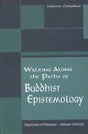 Walking Along the Paths of Buddhist Epistemology - Retail Maharaj