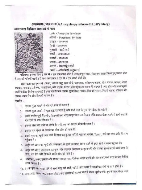 दिव्य औषधि विज्ञान  Divya Aushdhi Vigyan - Retail Maharaj