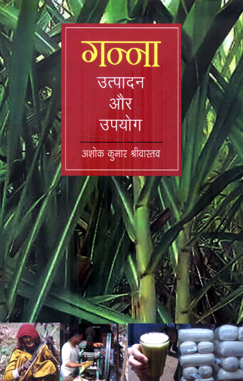 GANNA:UTPADAN AUR UPYOG - Retail Maharaj