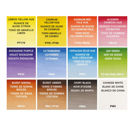 Winsor & Newton Cotman Watercolour 12 Tube Set - Professional Watercolour Paints for Artists - Retail Maharaj