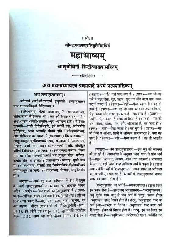 महाभाष्यम्  Mahabhashyamm (set of 2 Vol.) - Retail Maharaj
