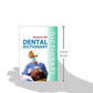 Jaypee's Dental Dictionary (Ex) (MEDICAL/DENISTRY)