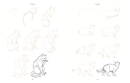 Draw 200 Animals: The Step-by-Step Way to Draw Horses, Cats, Dogs, Birds, Fish, and Many More Creatures