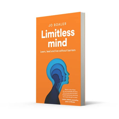 Limitless Mind - Retail Maharaj