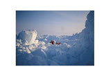 Philosophy for Polar Explorers: An Adventurer’s Guide to Surviving Winter