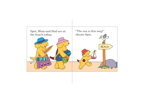Find Spot at the Beach: A Lift-the-Flap Story