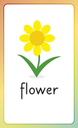 English for Everyone Junior English Alphabet Flash Cards