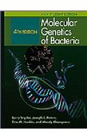 Molecular Genetics Of Bacteria