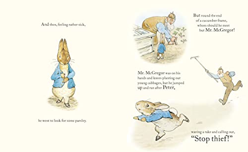 The Tale of Peter Rabbit Picture Book