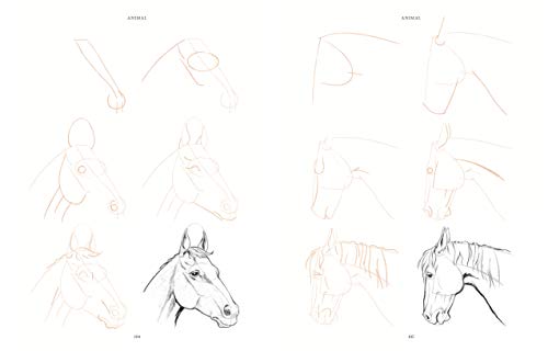 Draw 200 Animals: The Step-by-Step Way to Draw Horses, Cats, Dogs, Birds, Fish, and Many More Creatures