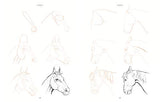 Draw 200 Animals: The Step-by-Step Way to Draw Horses, Cats, Dogs, Birds, Fish, and Many More Creatures
