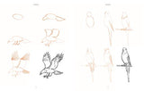Draw 200 Animals: The Step-by-Step Way to Draw Horses, Cats, Dogs, Birds, Fish, and Many More Creatures