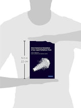 Direct Numerical Simulations of Gas?Liquid Multiphase Flows