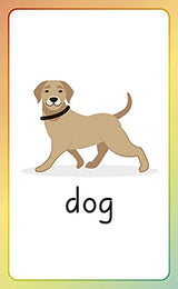 English for Everyone Junior English Alphabet Flash Cards