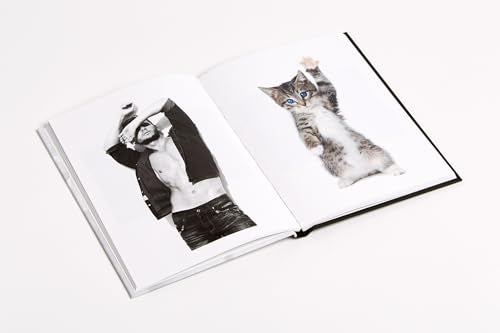 Men Cats