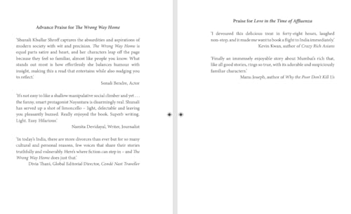 The Wrong Way Home: A Contemporary Indian Romance Novel about Divorce, Friendship & Second Chances - Retail Maharaj