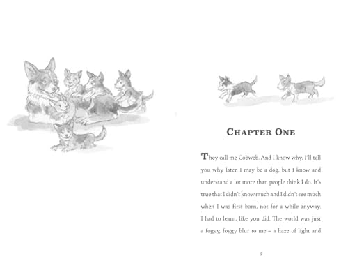 Cobweb: A heart-warming new story of bravery, friendship, and an incredible journey, for children and adults everywhere from the bestselling author of WAR HORSE.