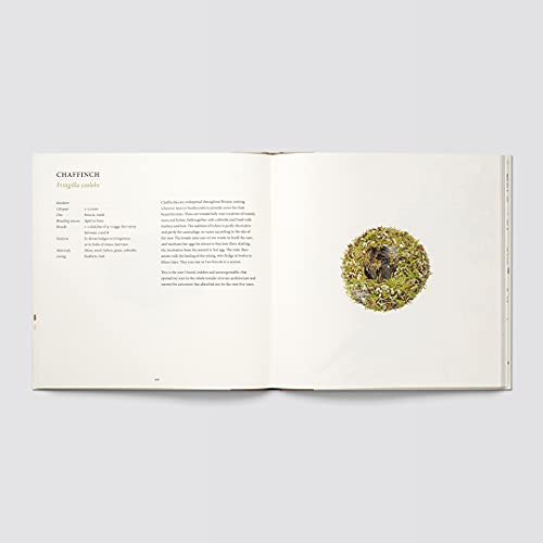 Nests - Retail Maharaj