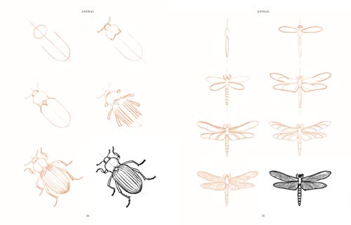 Draw 200 Animals: The Step-by-Step Way to Draw Horses, Cats, Dogs, Birds, Fish, and Many More Creatures