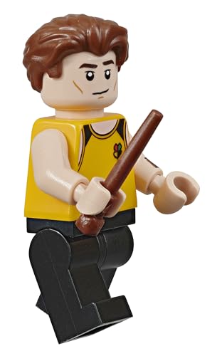 LEGO Harry Potter Visual Dictionary: With Exclusive Minifigure