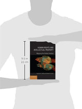 Human Rights and Intellectual Property: Mapping the Global Interface