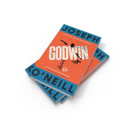 Godwin: The thrilling new novel from the Booker Prize-longlisted author of Netherland - Retail Maharaj