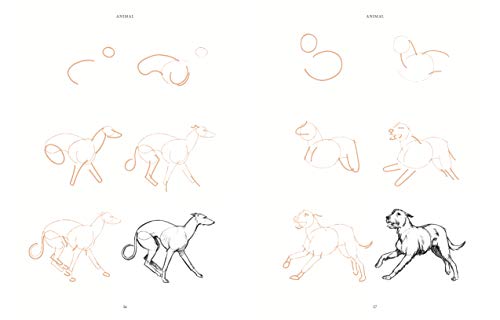 Draw 200 Animals: The Step-by-Step Way to Draw Horses, Cats, Dogs, Birds, Fish, and Many More Creatures