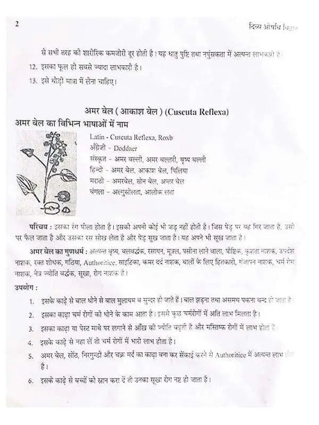 दिव्य औषधि विज्ञान  Divya Aushdhi Vigyan - Retail Maharaj